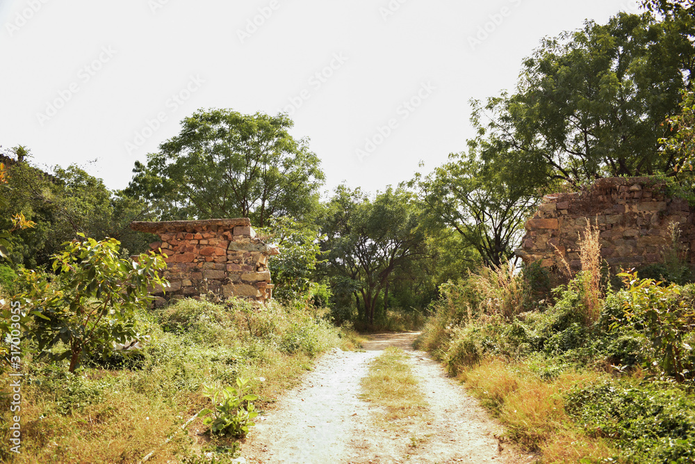 Forest Path and Way To Old Abandoned Fort Forest Path and Way To Old Abandoned Fort