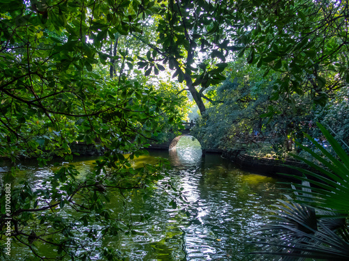 Pond with vegetation in the park. The locals walk and relax here. People Park at Chengdu city, China