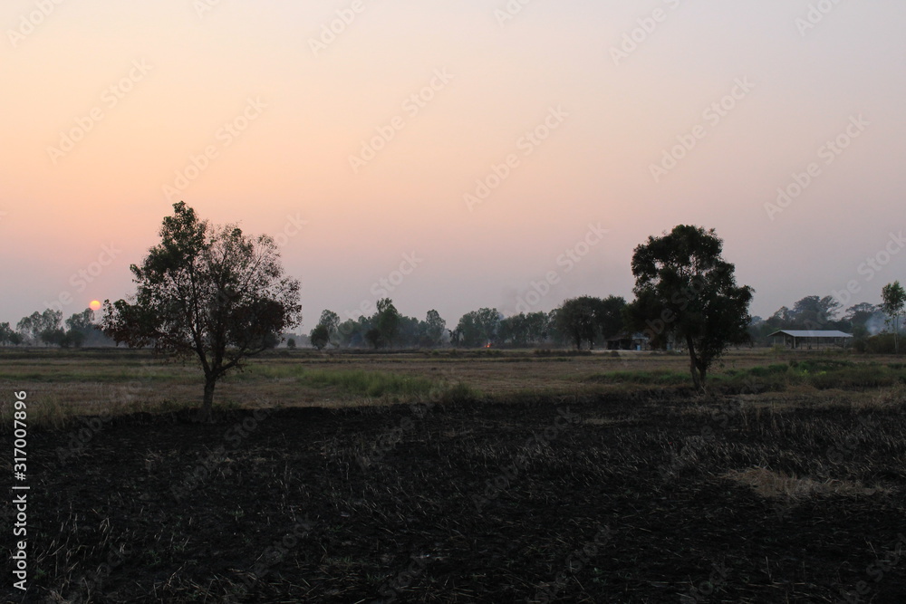 In the evening, the fields were burnt.
