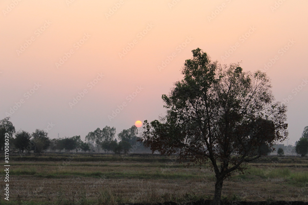Obraz premium The sunset