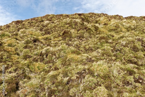 Azoren - São Miguel - Lagoas Empadadas - Wanderweg photo