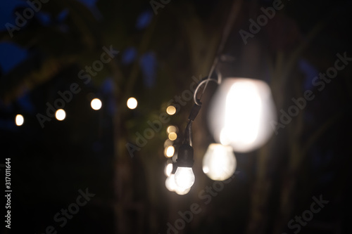 White light bulbs hanging from a thread between trees
