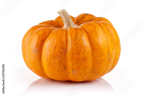 Obraz na plátně Single mini pumpkin isolated on white