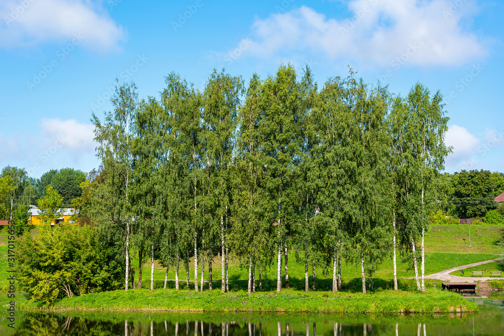 Pskov, a picturesque island in the Duck pond in the Park on the river Miroshka Pskov, a picturesque island in the Duck pond in the Park on the river Miroshka