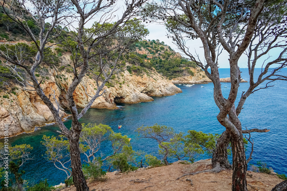 Top view of the turquoise Mediterranean sea, rocks and Bay, through the trees Top view of the turquoise Mediterranean sea, rocks and Bay, through the trees