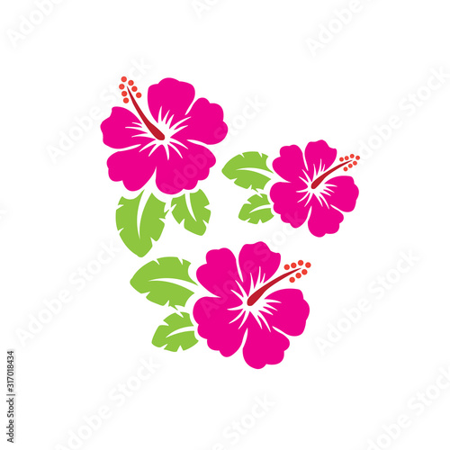 vector flower logo design and ornament