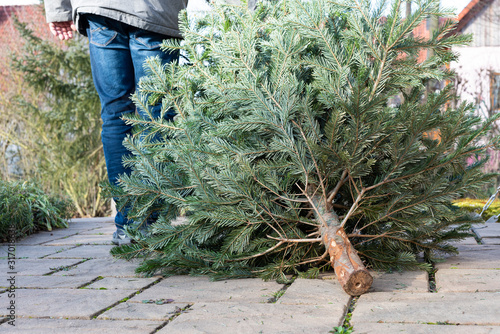 A man pulling the old christmas tree away