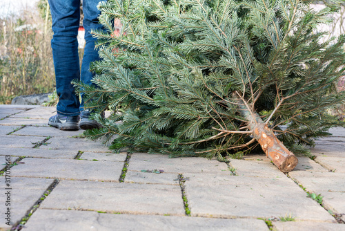 A man pulling the old christmas tree away
