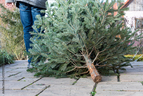 A man pulling the old christmas tree away
