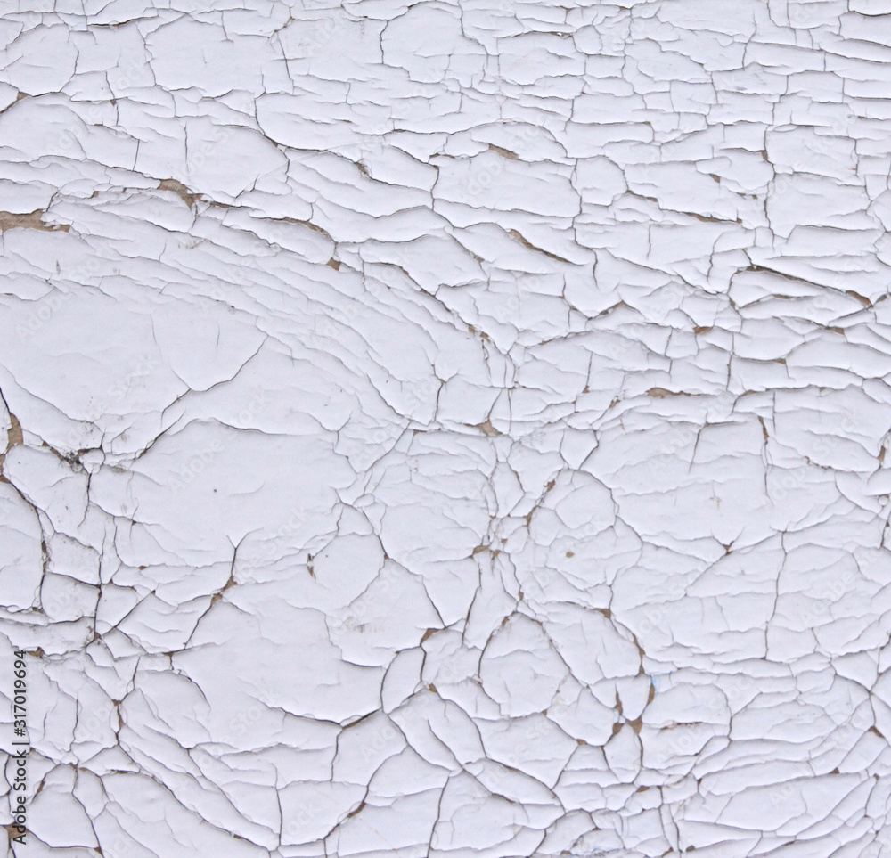 texture cracked paint like a shell texture cracked paint like a shell