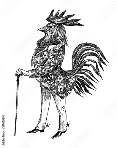 A rooster man with a cane and boots in a cowboy style. Hand drawn fashionable cockerel. Engraved old monochrome sketch.