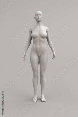 Female body anatomical illustration over a light background. 3D render.
