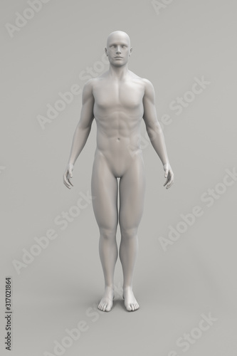 Male body anatomical illustration over a light background. 3D render.