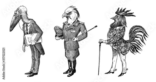 Bird man, eagle and marabou head in military uniform. Dressed Rooster or Cock cowboy. Hand drawn fashionable cockerel. Engraved old monochrome sketch. Mythical fashion creature in hipster style.