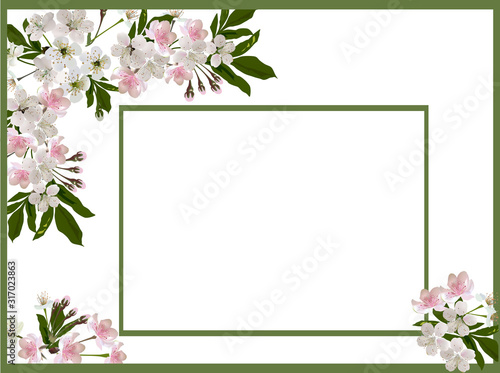 spring tree blossoms in dark green frame