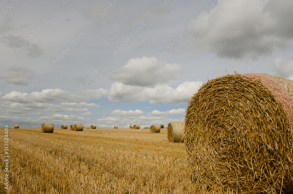 Straw Bales 1