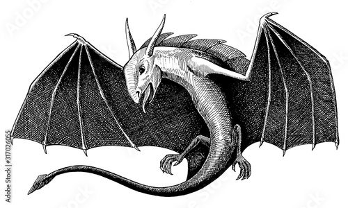 dragon, vintage black ink hand drawn illustration