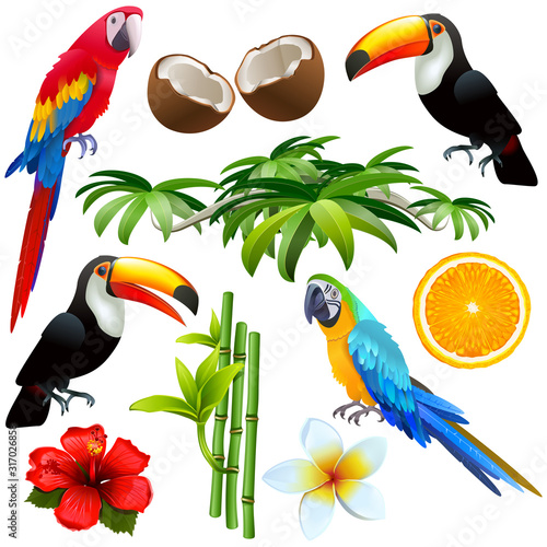 Vector Tropical Icons