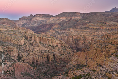 Spring landscape at dawn of a canyon, along the Apache Trail, Tonto National Forest, Arizona, USA