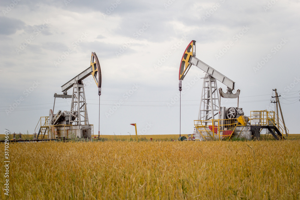 Oil rigs in an agricultural field with wheat. Oil production in Tatarstan. Oil rigs in an agricultural field with wheat. Oil production in Tatarstan.