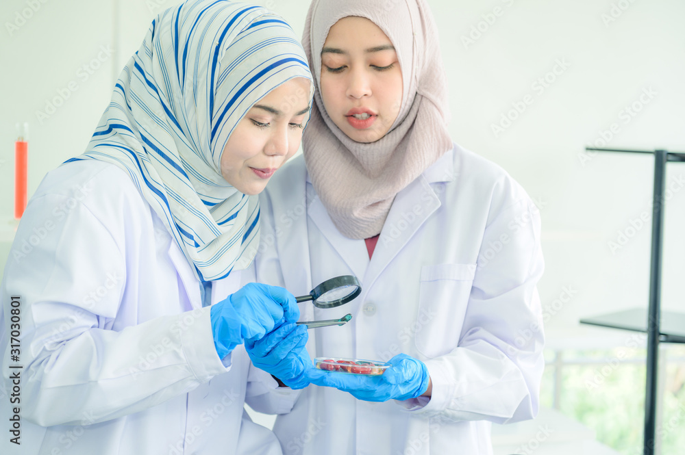 Asian women scientist with test tube making research in clinical laboratory.Science Oil pouring, Formulating the chemical for medicine Asian women scientist with test tube making research in clinical laboratory.Science Oil pouring, Formulating the chemical for medicine