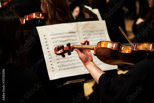 Εκτύπωση καμβά Playing the violin in orchestra