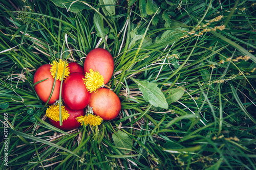 Photography Red easter eggs on the grass with flowers and blowballs, naturally colored easter eggs with onion husks