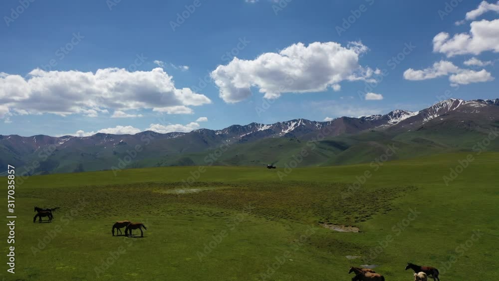 Horses graze on Alpine meadows in the mountains on permafrost. Mountains, forest and rocks, permafrost in the Turgen gorge Kazakhstan. Horses graze on Alpine meadows in the mountains on permafrost. Mountains, forest and rocks, permafrost in the Turgen gorge Kazakhstan.