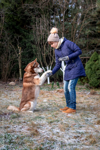 Girl playing with dog in autumn forest. Siberian husky dog gave a paw to its Owner and sat on his hind legs