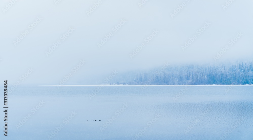 Φωτογραφία Beautiful shot of a lake with snowy trees in the distance under the fog