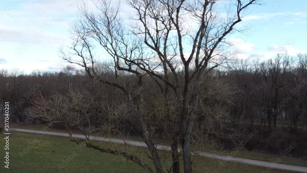 Drone flight through trees in parc Drone flight through trees in parc