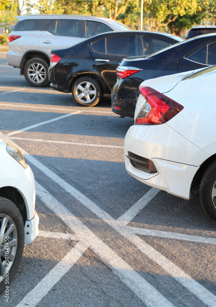 Closeup of rear, back side of white car with  other cars and front side of white car parking in outdoor parking area in bright sunny day.  Vertical view.