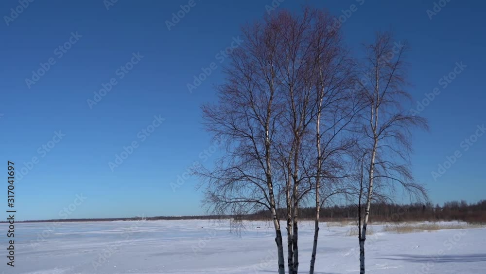 Minimalistic winter landscape, tree and snow-covered lake. Minimalistic winter landscape, tree and snow-covered lake.