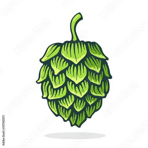 Vector illustration. Green cone of hop. Symbol of beer, pub and alcoholic beverage. Graphic design with contour. Clip-art print for packaging, menu, signboard, showcase. Isolated on white background