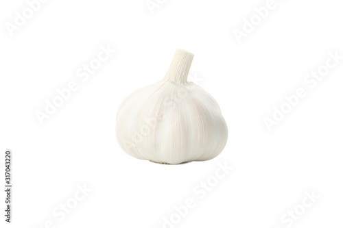 Fresh garlic bulb isolated on white background