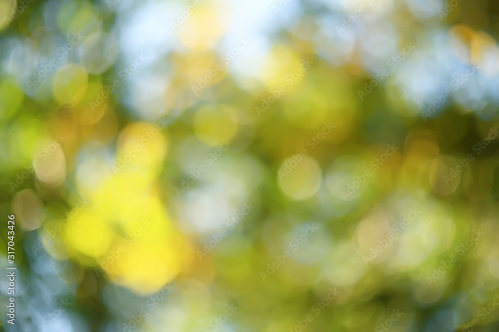 green branches leaves background / abstract view seasonal summer forest, foliage green, eco concept