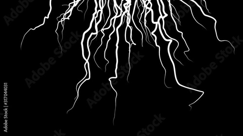 Moving growing roots on black background. Animation. Abstract animation of branching roots like live vines on black background photo