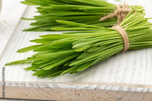 Fresh barley grass on a white table