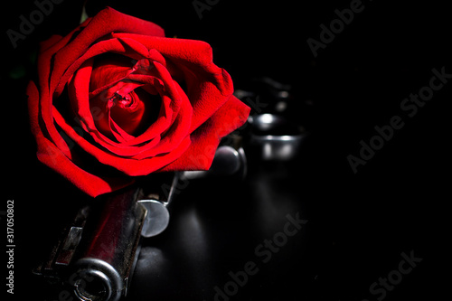 roses red  and gun on the dark background