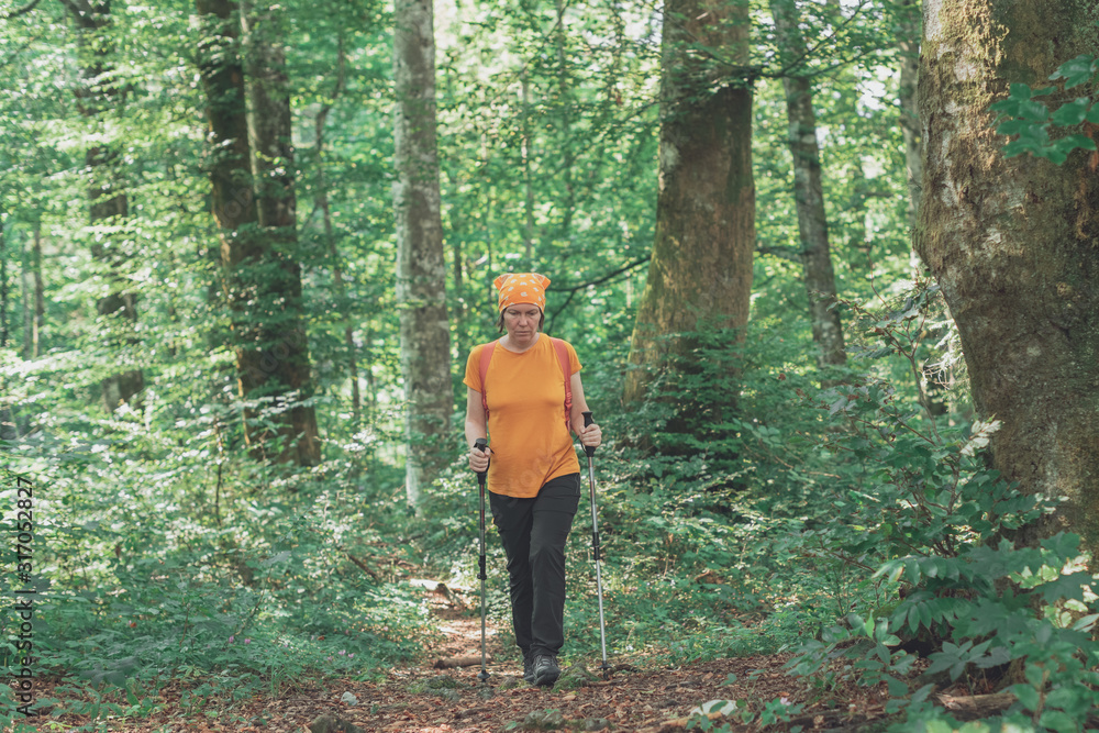 Woman hiker trekking and walking in forest