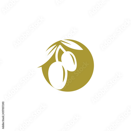 olive icon vector illustration
