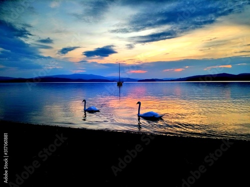 Lipno reservoir, sunset over the lake, Czech Republic, two swans in the dust photo