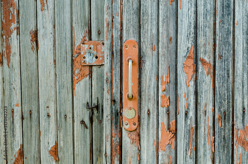 Old wooden door. Paint clambers from an old door. Tree structure