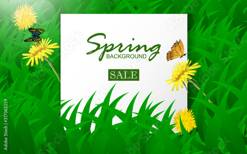 Spring background concept with white frame, sunflower, and butterfly on green grass. Design template for use cover poster, sale banner, summer event