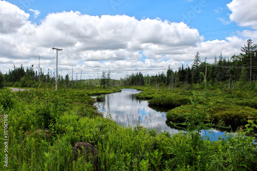 Adirondack creek