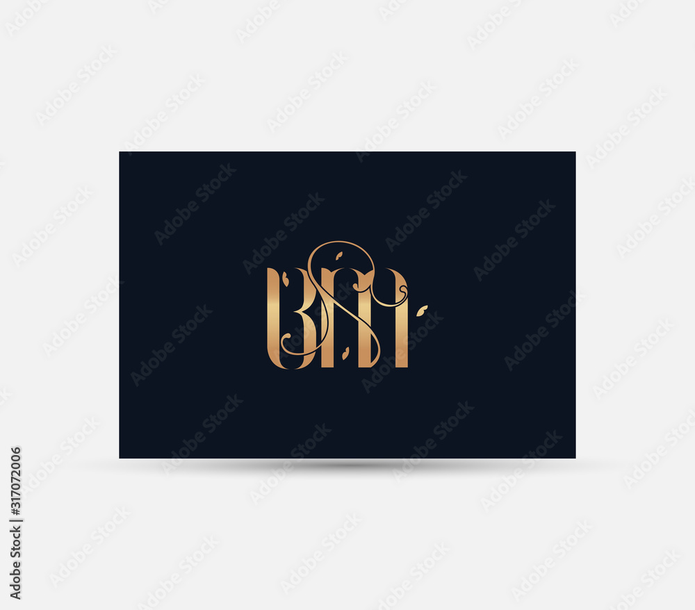 letter B M logo. luxury lettr BM logo design element.