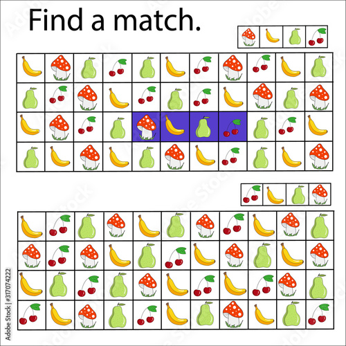 Logical puzzle game for children and adults. Find a match. Developing kids attentiveness and spatial  mathematical thinking skills. IQ training test..