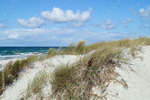 Wundervoller Tag am Strand in den Dünen photo