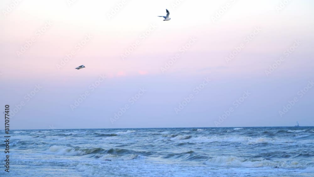 Seagulls flying on seashore. Seagulls flying over the waves of the sea Seagulls flying on seashore. Seagulls flying over the waves of the sea