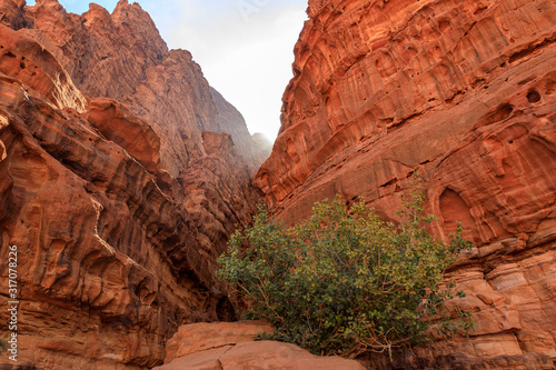 View at the Khazali Canyon at Wadi Rum desert in Jordan